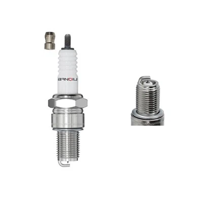 Breiseán Nicil Spark R4118S -8 3236