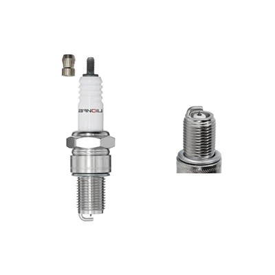 Breiseán Nicil Spark B95EGV 2145